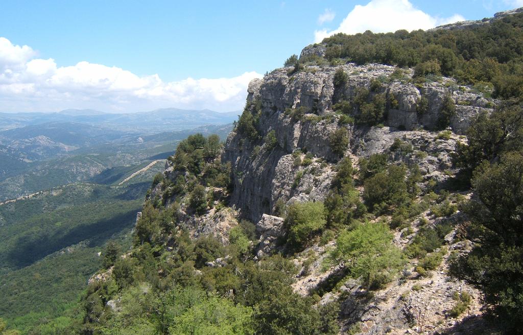 DSCF5139 - Copie.JPG